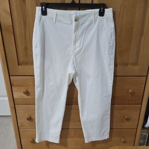 LOFT Cream Chinos